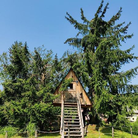 Willa Zen Among The Trees Stahovica Zewnętrze zdjęcie