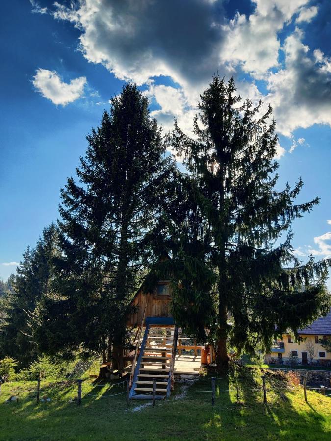 Willa Zen Among The Trees Stahovica Zewnętrze zdjęcie
